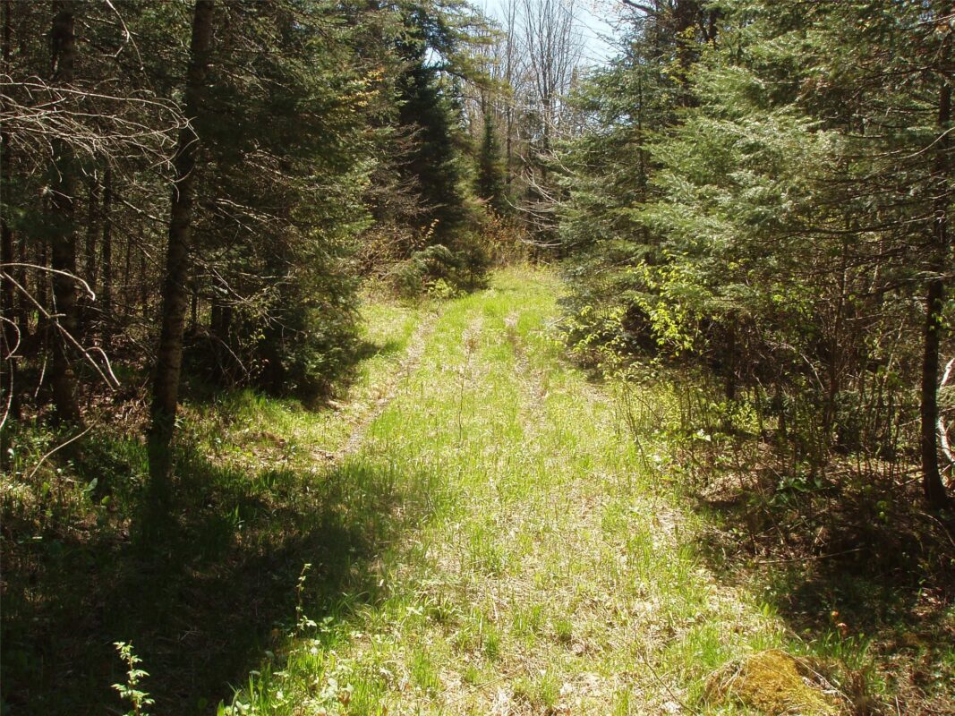 120 +/- Acres Off County Highway N, Glidden WI 54527 - Land house for sale - MLS #1601094 - image20
