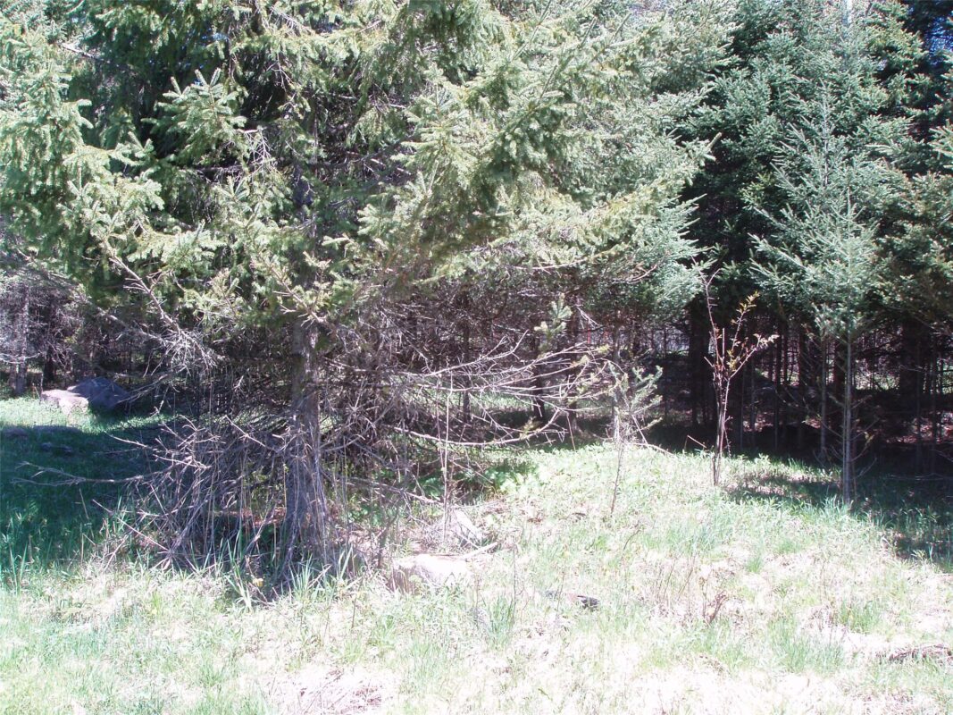 120 +/- Acres Off County Highway N, Glidden WI 54527 - Land house for sale - MLS #1601094 - image3
