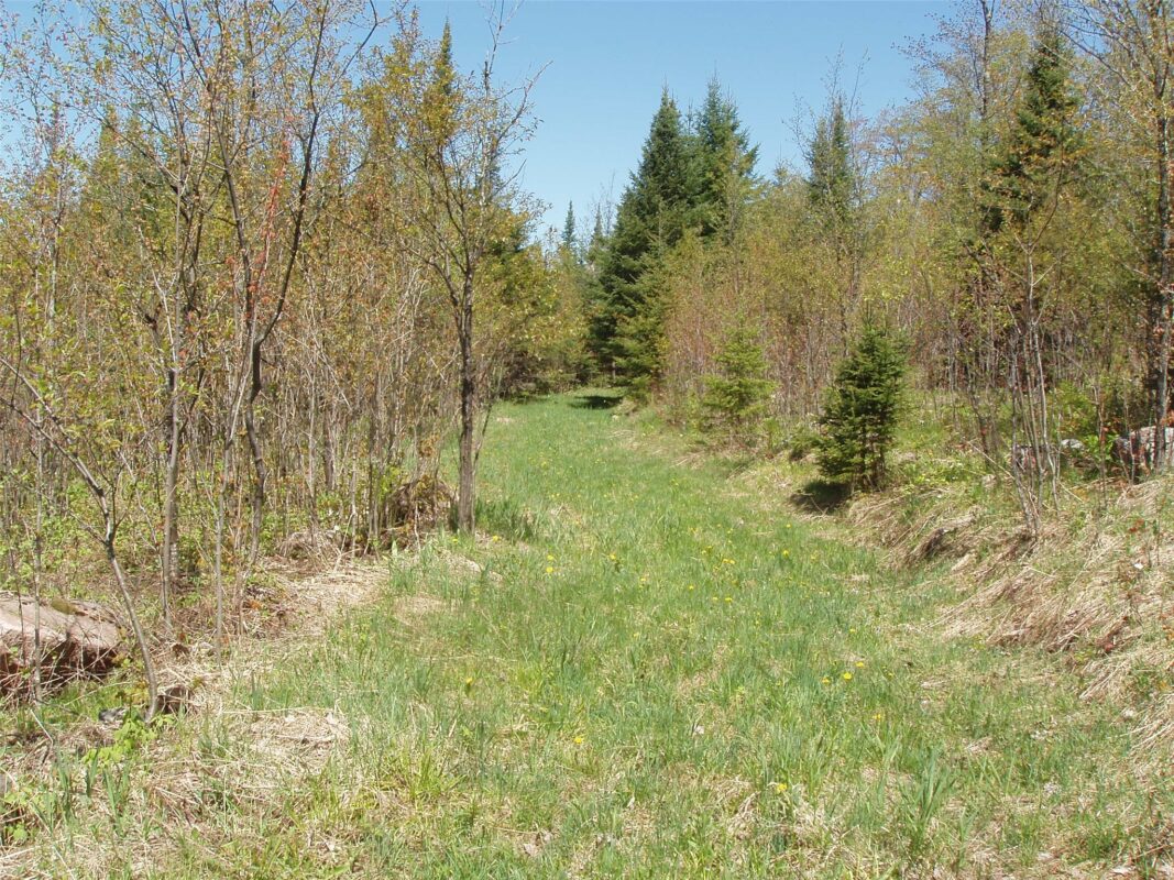 120 +/- Acres Off County Highway N, Glidden WI 54527 - Land house for sale - MLS #1601094 - image22