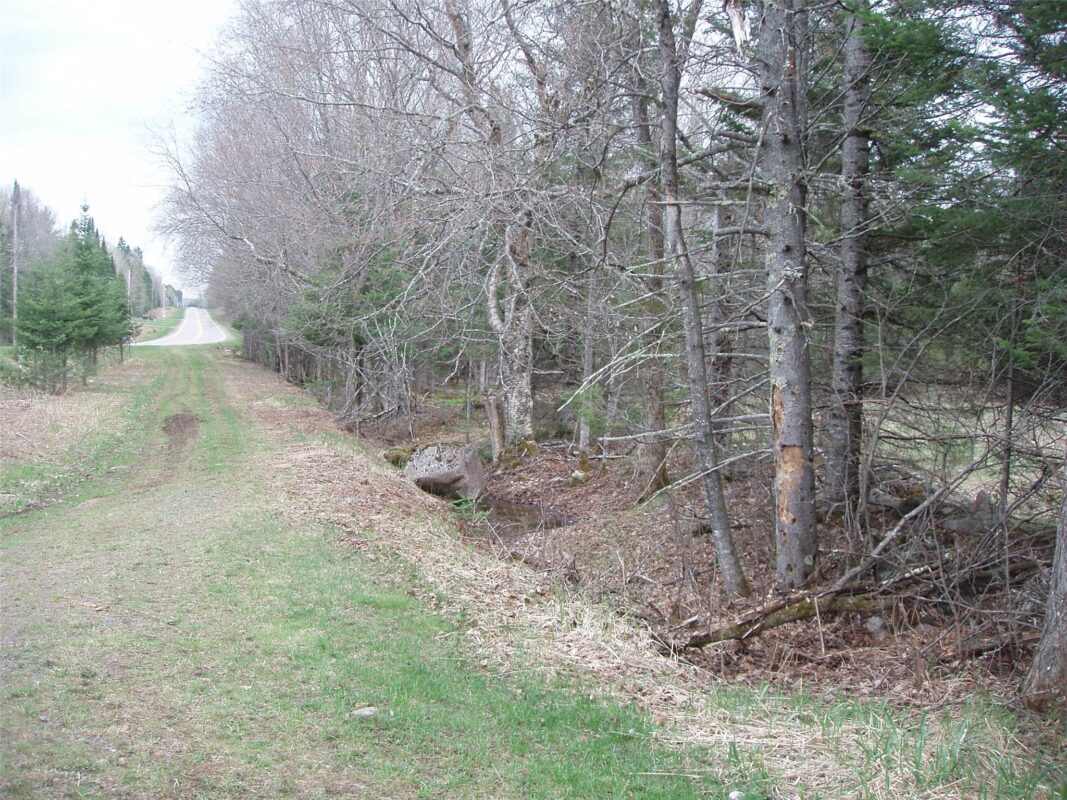120 +/- Acres Off County Highway N, Glidden WI 54527 - Land house for sale - MLS #1601094 - image25