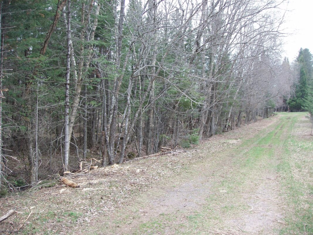 120 +/- Acres Off County Highway N, Glidden WI 54527 - Land house for sale - MLS #1601094 - image26