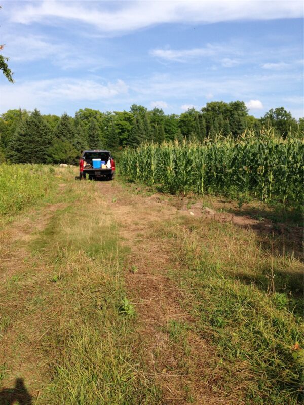 120 +/- Acres Off County Highway N, Glidden WI 54527 - Land house for sale - MLS #1601094 - image27