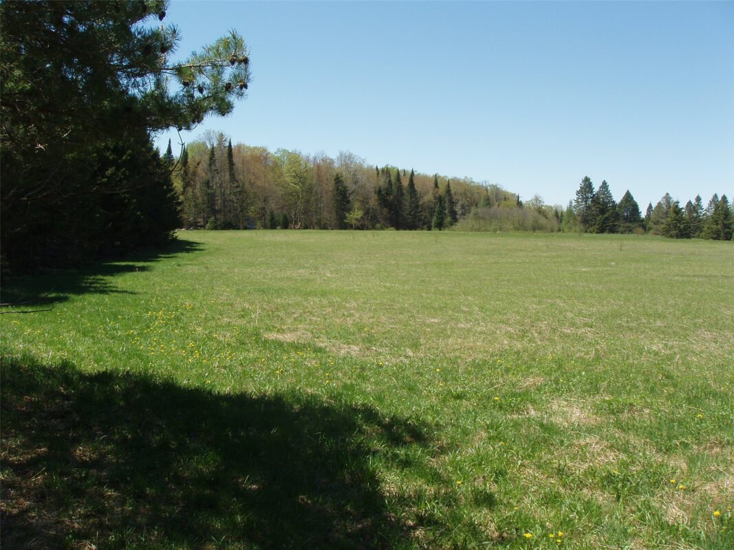 120 +/- Acres Off County Highway N, Glidden WI 54527 - Land house for sale - MLS #1601094 - image4
