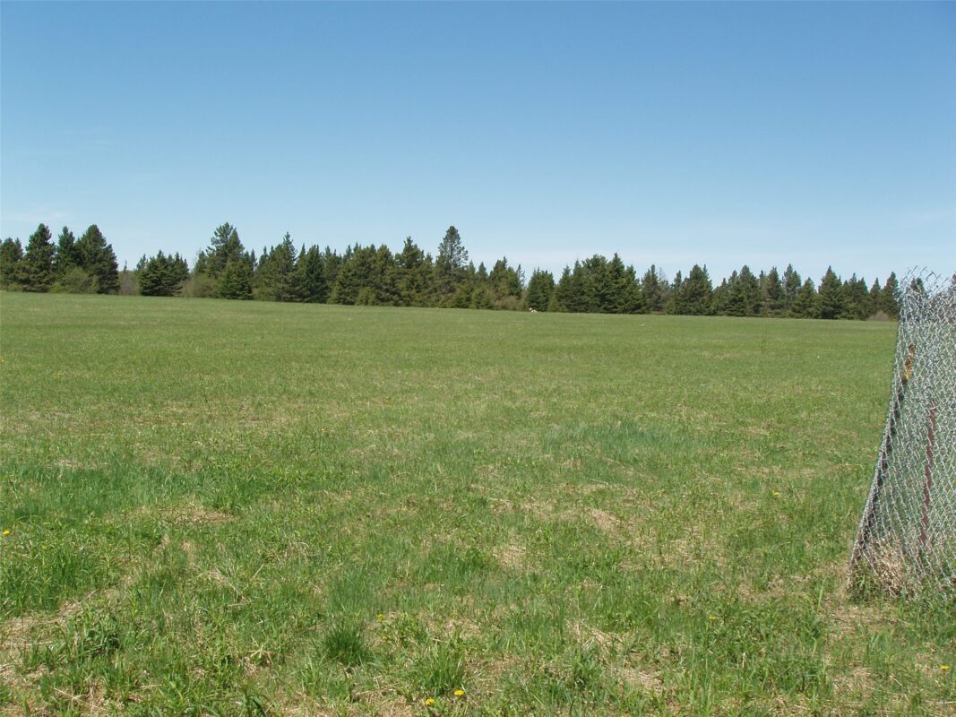 120 +/- Acres Off County Highway N, Glidden WI 54527 - Land house for sale - MLS #1601094 - image5