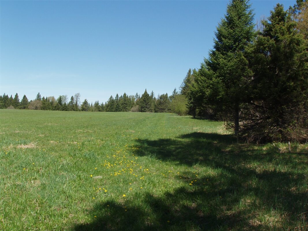 120 +/- Acres Off County Highway N, Glidden WI 54527 - Land house for sale - MLS #1601094 - image6
