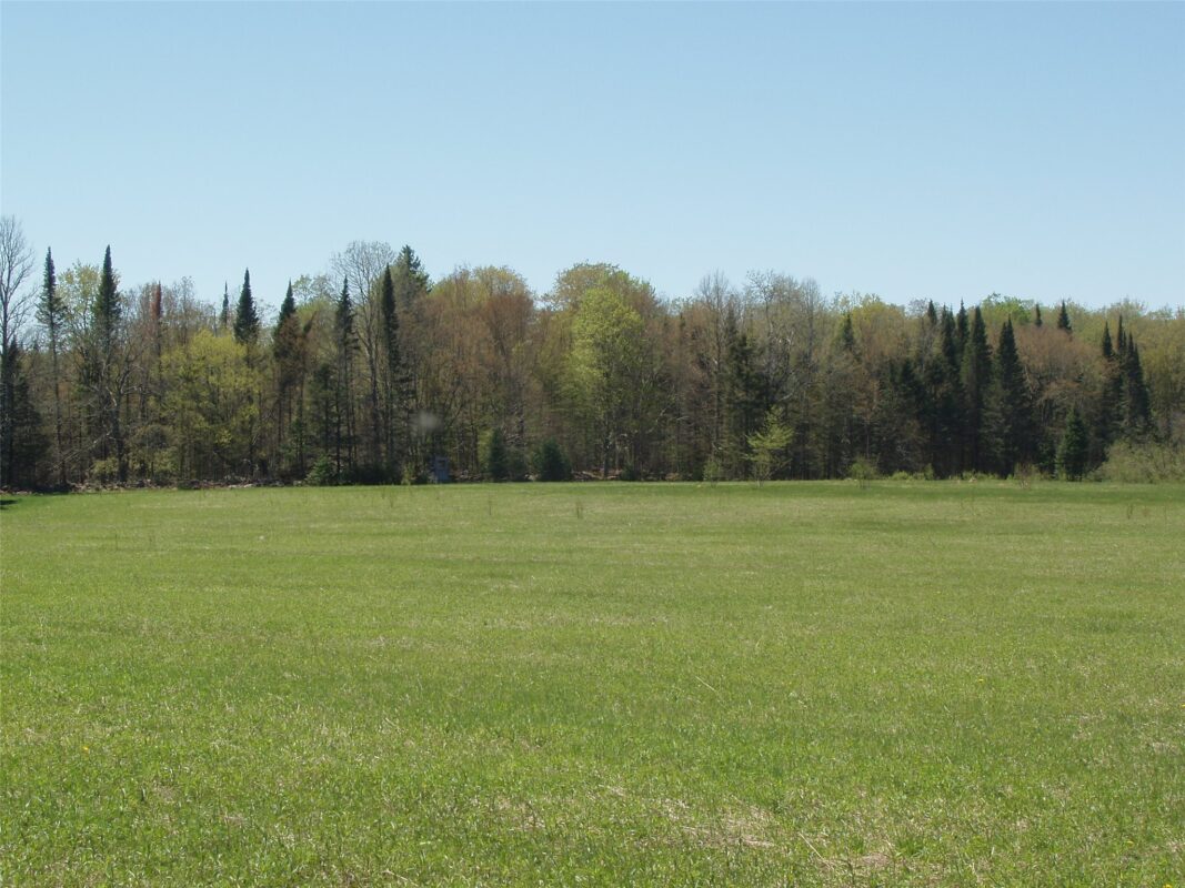 120 +/- Acres Off County Highway N, Glidden WI 54527 - Land house for sale - MLS #1601094 - image7