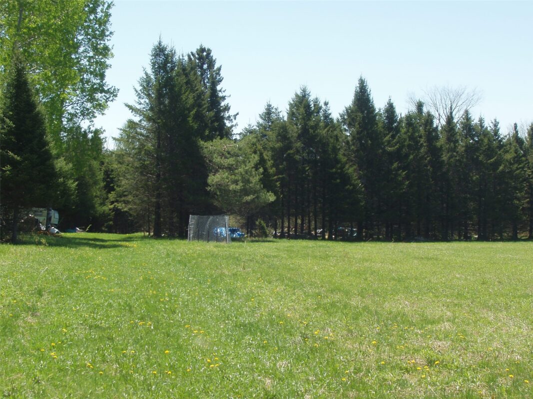 120 +/- Acres Off County Highway N, Glidden WI 54527 - Land house for sale - MLS #1601094 - image8