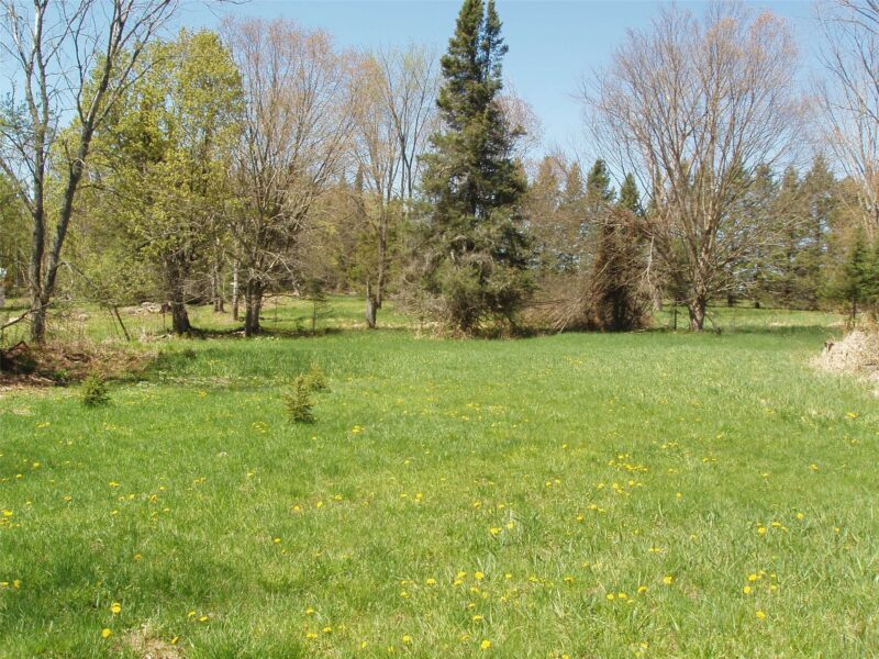 120 +/- Acres Off County Highway N 