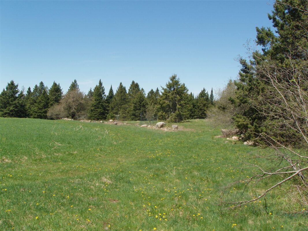 120 +/- Acres Off County Highway N, Glidden WI 54527 - Land house for sale - MLS #1601094 - image10