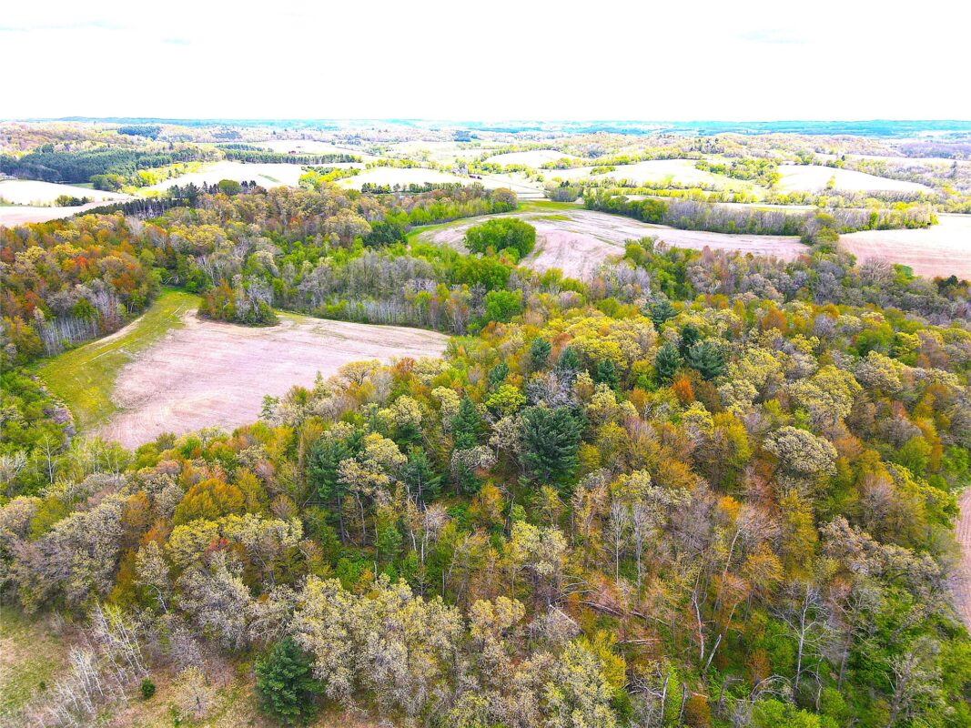125 acres Steig Coulee Road, Osseo WI 54758 - Land house for sale - MLS #1601001 - image2