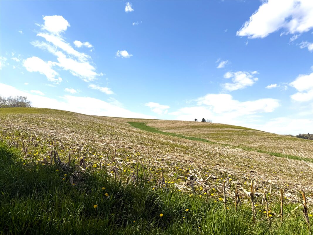 125 acres Steig Coulee Road, Osseo WI 54758 - Land house for sale - MLS #1601001 - image11