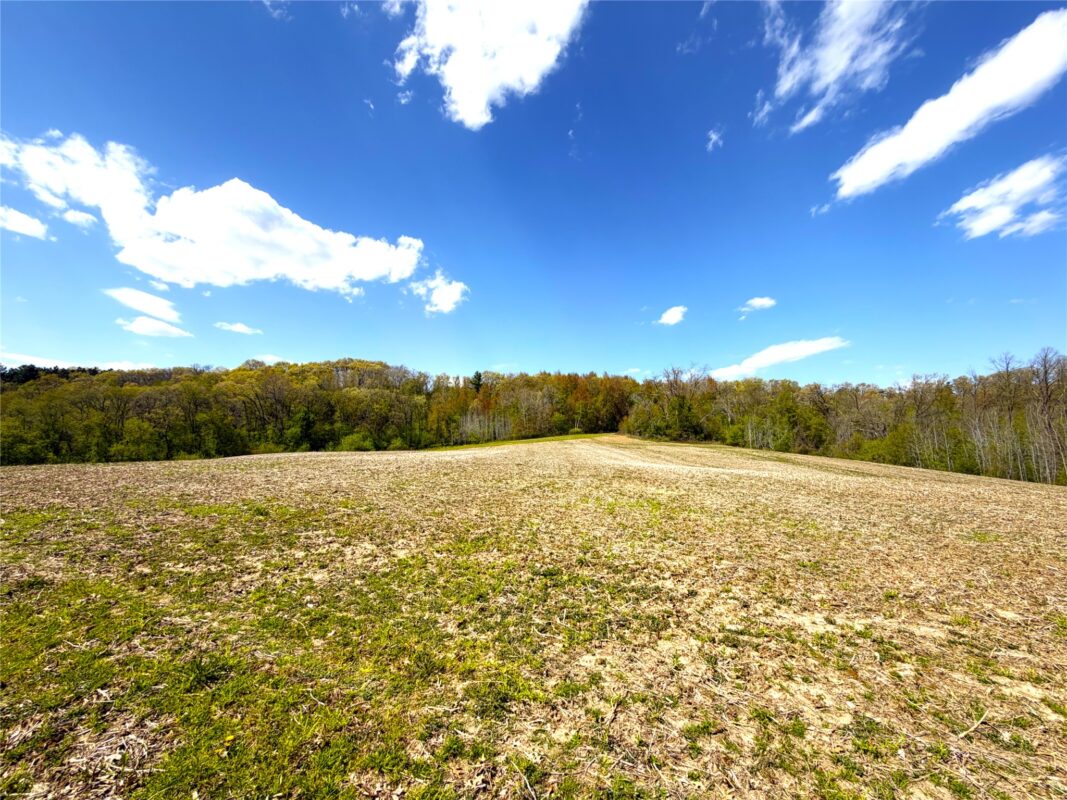 125 acres Steig Coulee Road, Osseo WI 54758 - Land house for sale - MLS #1601001 - image12
