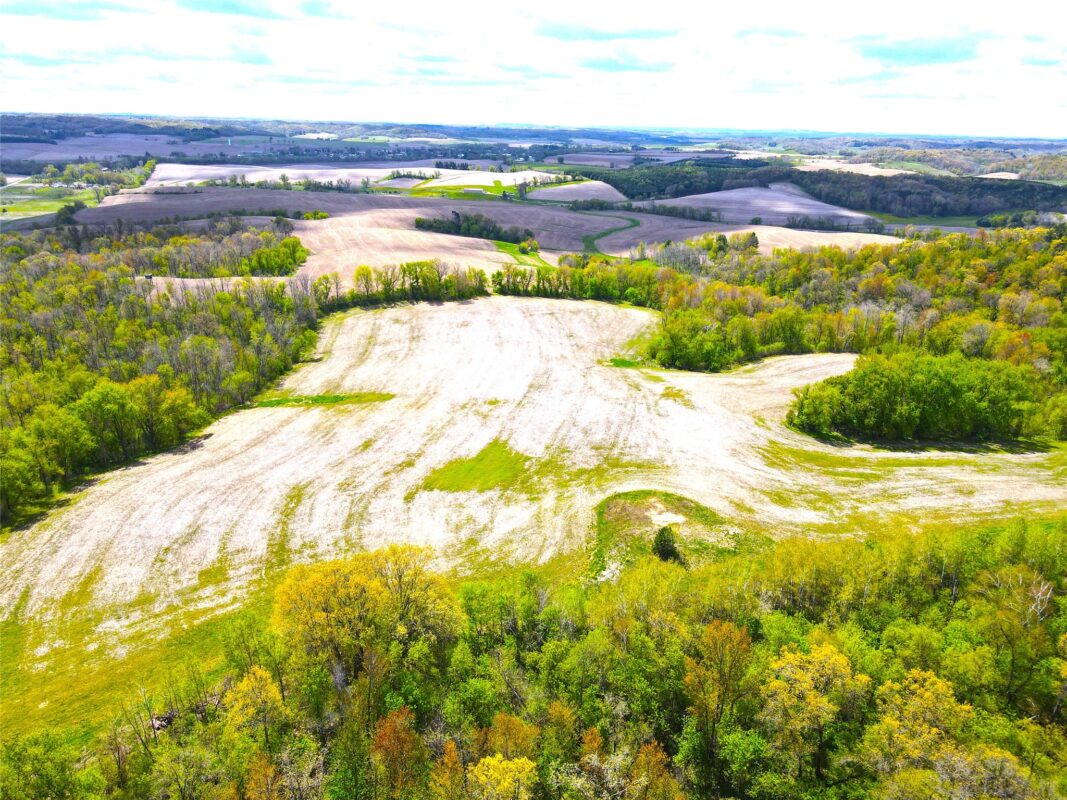 125 acres Steig Coulee Road, Osseo WI 54758 - Land house for sale - MLS #1601001 - image16