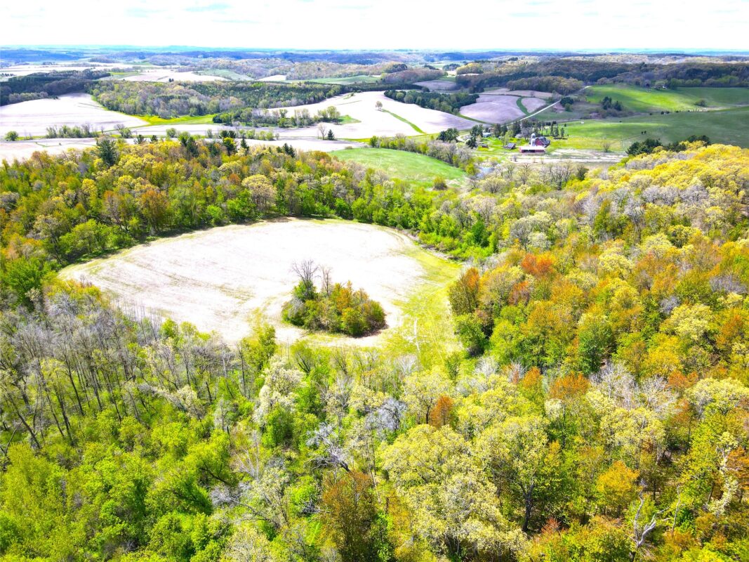 125 acres Steig Coulee Road, Osseo WI 54758 - Land house for sale - MLS #1601001 - image18