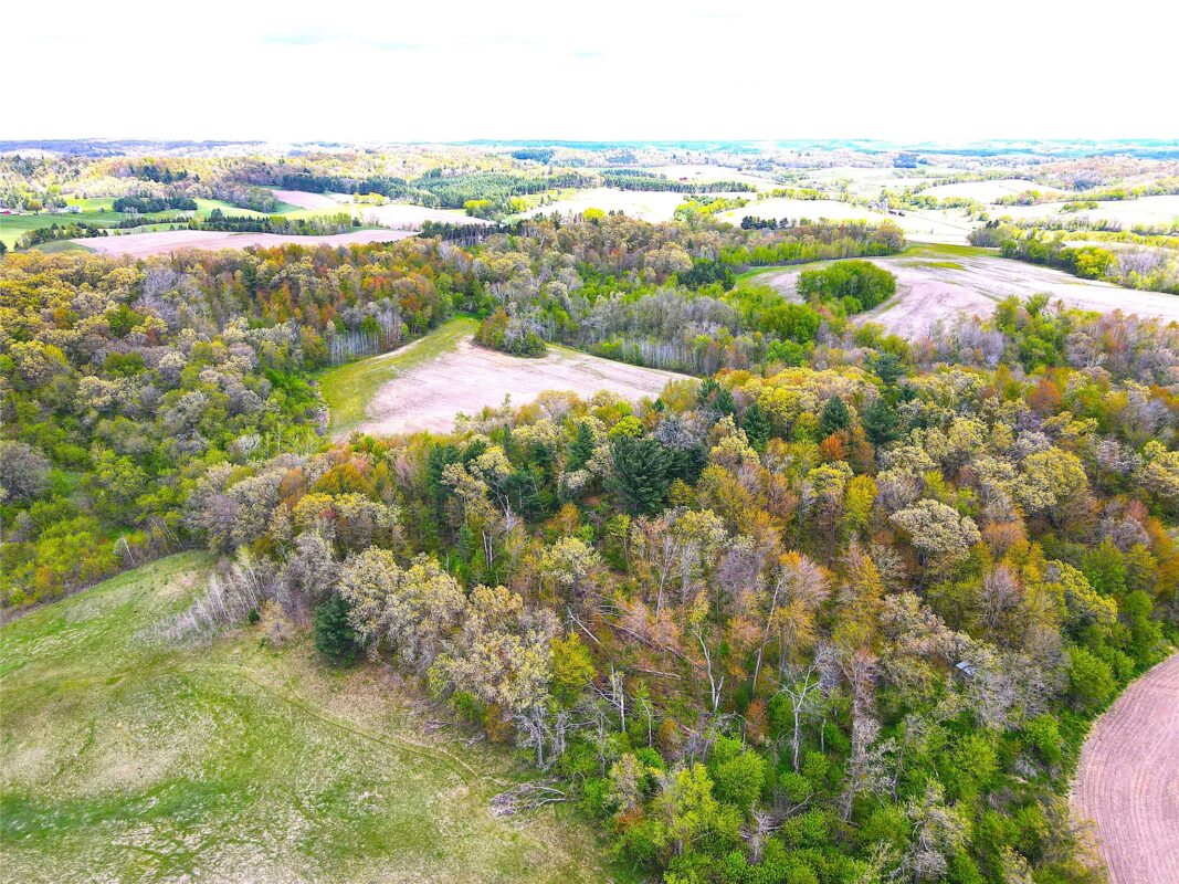 125 acres Steig Coulee Road, Osseo WI 54758 - Land house for sale - MLS #1601001 - image19