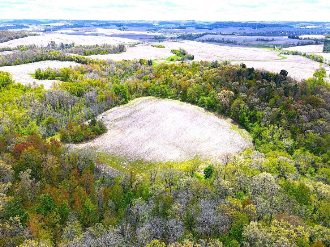 125 acres Steig Coulee Road, Osseo WI 54758 - Land house for sale - MLS #1601001 - image3