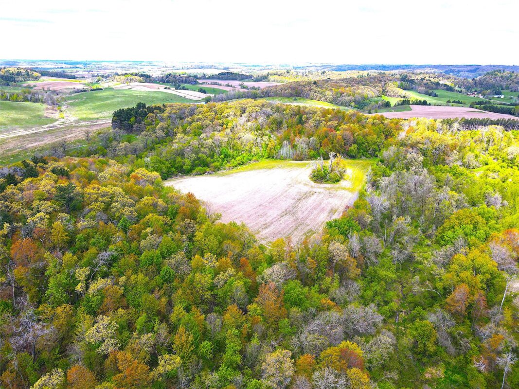 125 acres Steig Coulee Road, Osseo WI 54758 - Land house for sale - MLS #1601001 - image21