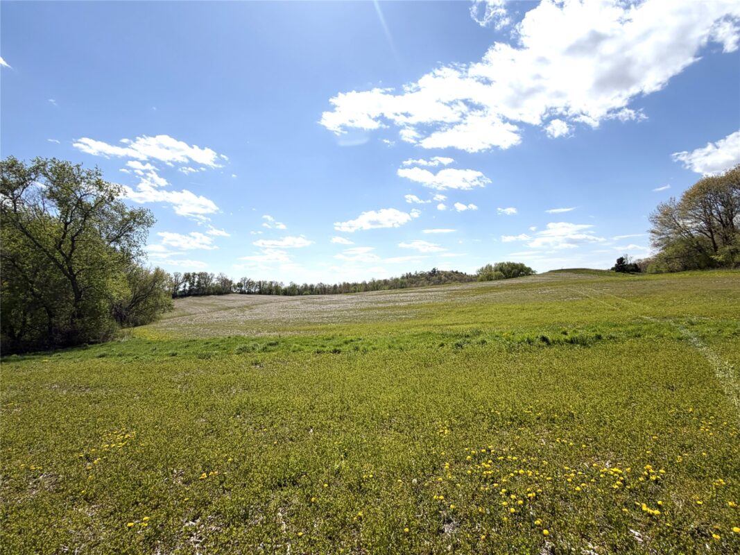 125 acres Steig Coulee Road, Osseo WI 54758 - Land house for sale - MLS #1601001 - image23