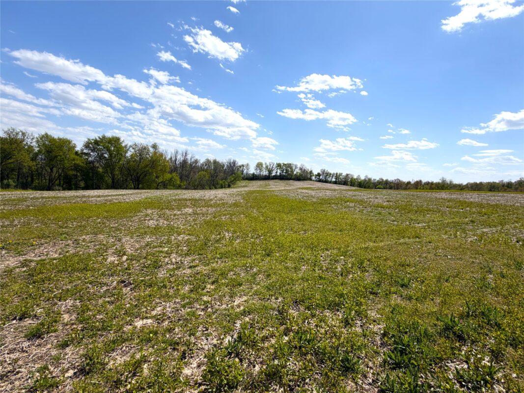 125 acres Steig Coulee Road, Osseo WI 54758 - Land house for sale - MLS #1601001 - image24