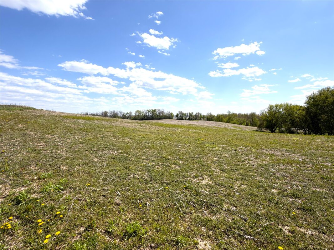 125 acres Steig Coulee Road, Osseo WI 54758 - Land house for sale - MLS #1601001 - image25