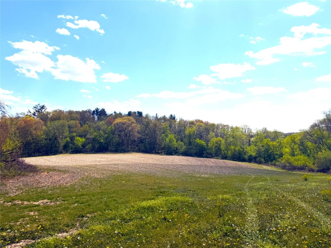 125 acres Steig Coulee Road, Osseo WI 54758 - Land house for sale - MLS #1601001 - image26
