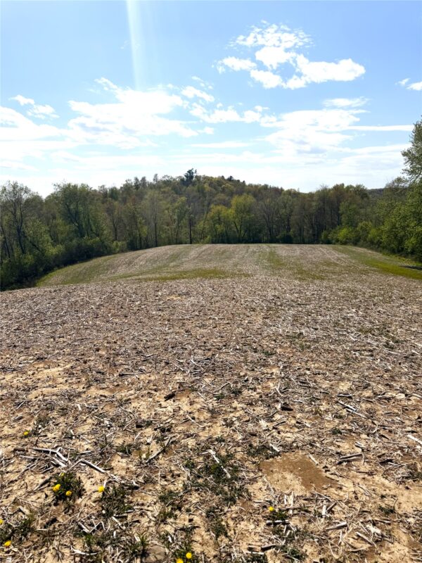 125 acres Steig Coulee Road, Osseo WI 54758 - Land house for sale - MLS #1601001 - image28