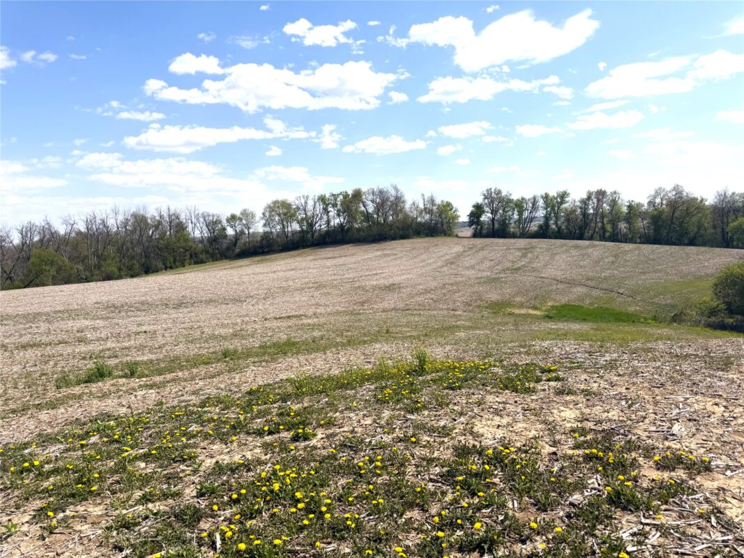 125 acres Steig Coulee Road, Osseo WI 54758 - Land house for sale - MLS #1601001 - image29