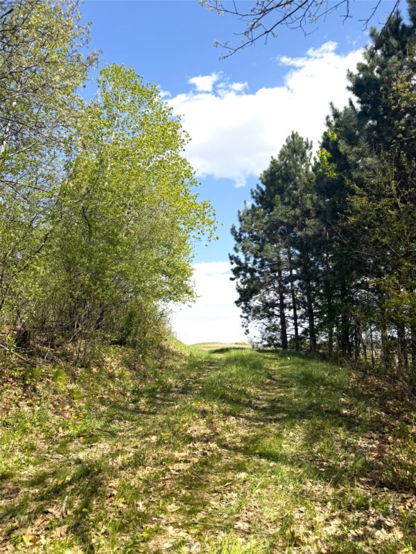 125 acres Steig Coulee Road, Osseo WI 54758 - Land house for sale - MLS #1601001 - image4