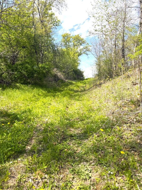 125 acres Steig Coulee Road, Osseo WI 54758 - Land house for sale - MLS #1601001 - image31