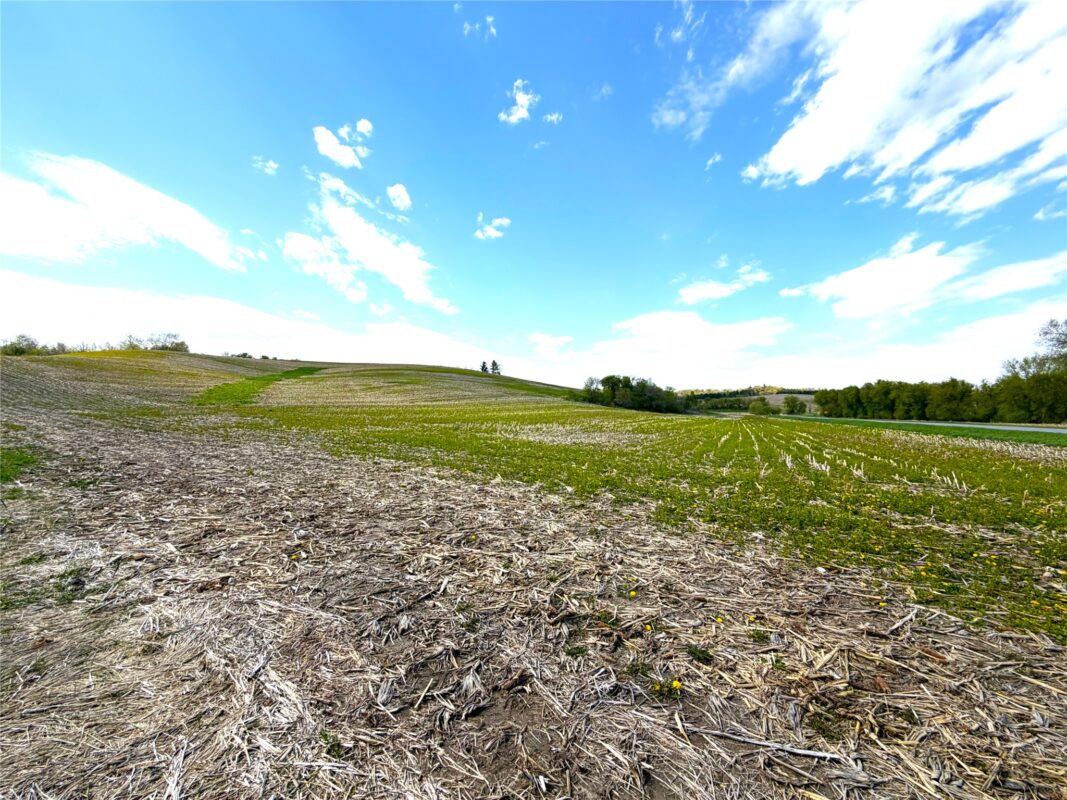 125 acres Steig Coulee Road, Osseo WI 54758 - Land house for sale - MLS #1601001 - image32
