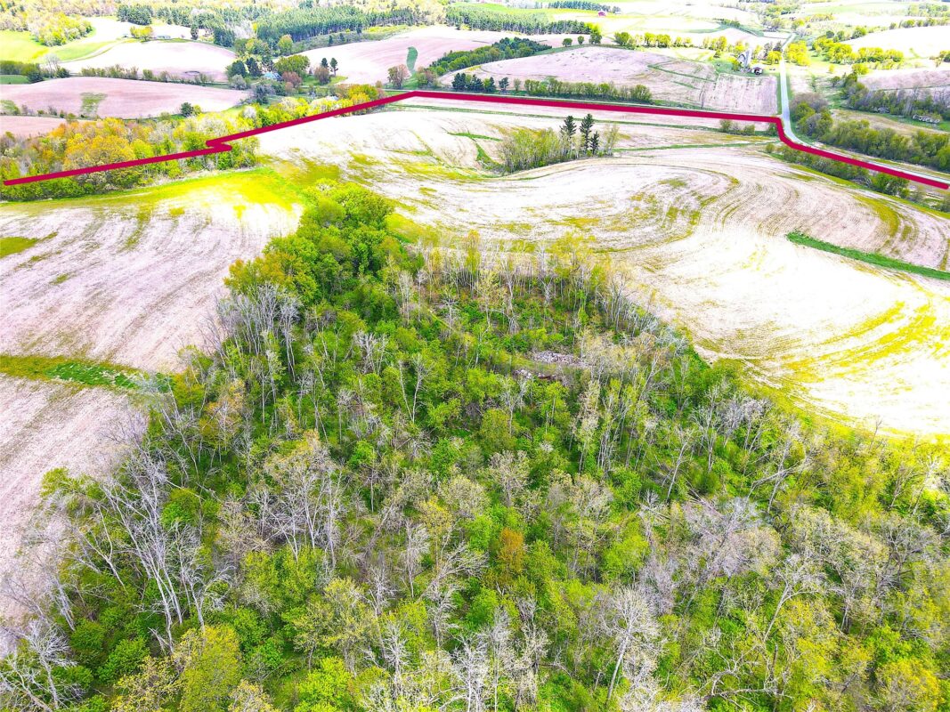 125 acres Steig Coulee Road, Osseo WI 54758 - Land house for sale - MLS #1601001 - image33