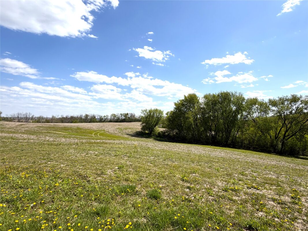 125 acres Steig Coulee Road, Osseo WI 54758 - Land house for sale - MLS #1601001 - image5