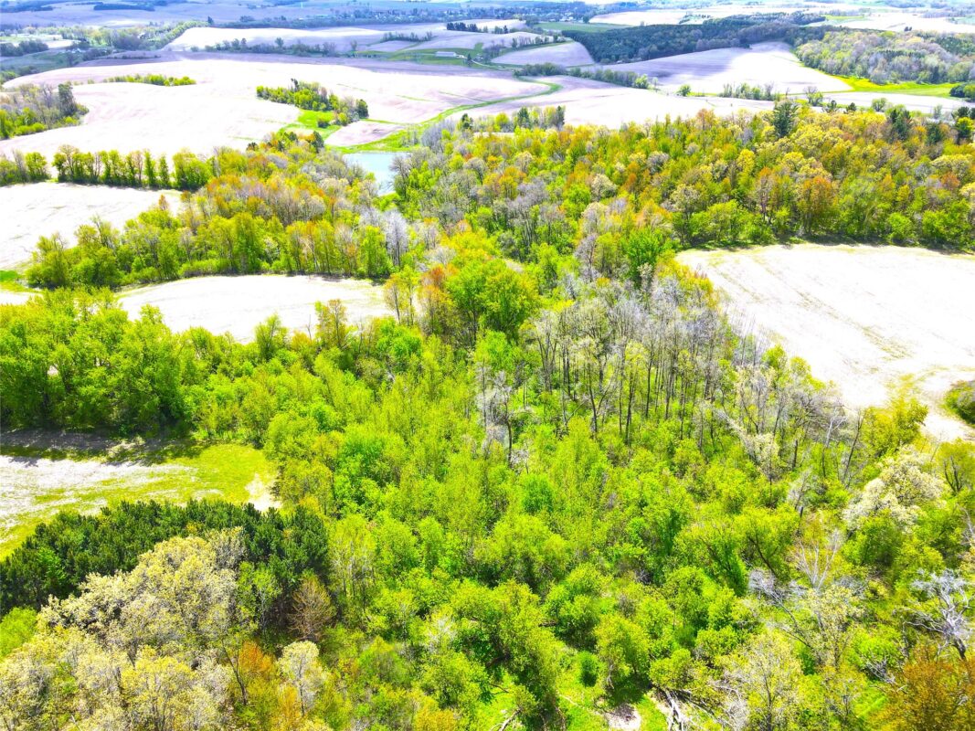 125 acres Steig Coulee Road, Osseo WI 54758 - Land house for sale - MLS #1601001 - image6