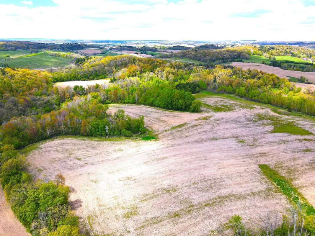 125 acres Steig Coulee Road, Osseo WI 54758 - Land house for sale - MLS #1601001 - image7