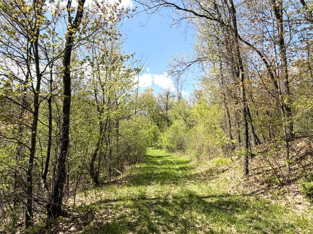 125 acres Steig Coulee Road, Osseo WI 54758 - Land house for sale - MLS #1601001 - image8