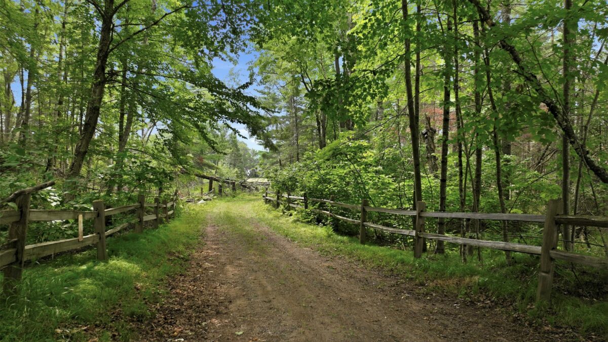 12850N O'Connor Road, Hayward WI 54843 - Land house for sale - MLS #1603951 - image3
