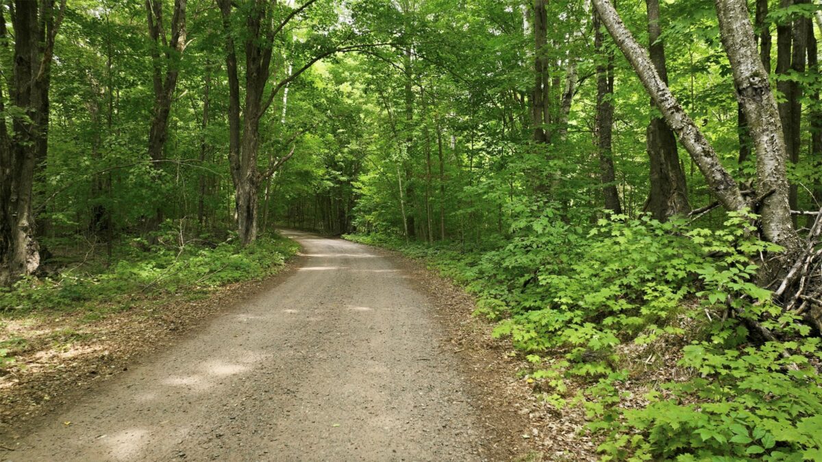 12850N O'Connor Road, Hayward WI 54843 - Land house for sale - MLS #1603951 - image39
