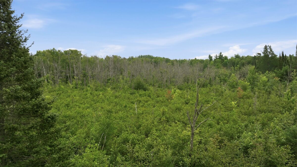 12850N O'Connor Road, Hayward WI 54843 - Land house for sale - MLS #1603951 - image40