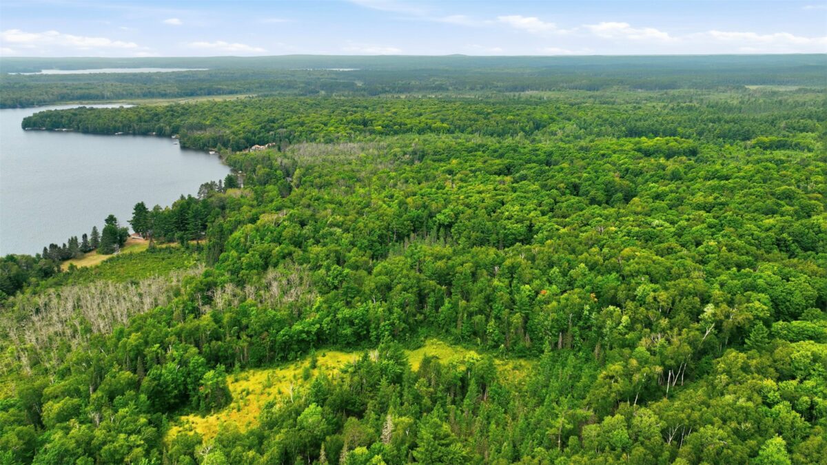 12850N O'Connor Road, Hayward WI 54843 - Land house for sale - MLS #1603951 - image54