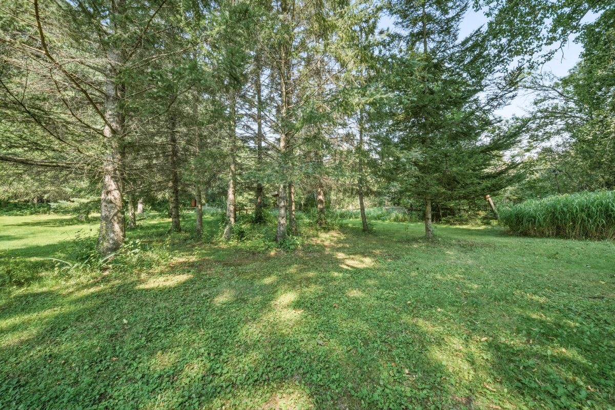 1300 Ripley Street, Cornell WI 54732 - Residential house for sale - MLS #1604199 - image39