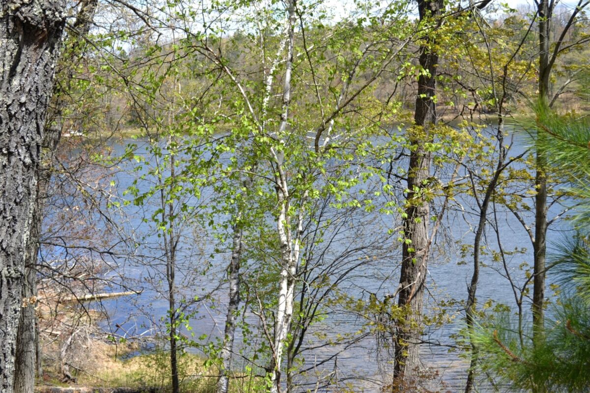 1391 Dock Lake Road, Spooner WI 54801 - Land house for sale - MLS #1601069 - image15