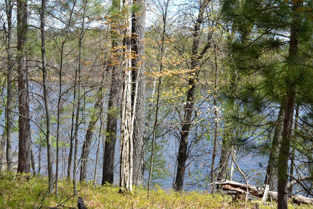 1391 Dock Lake Road, Spooner WI 54801 - Land house for sale - MLS #1601069 - image16
