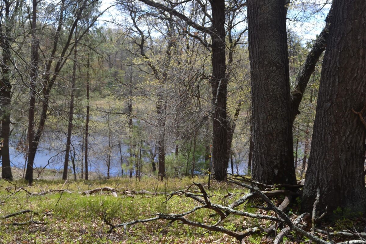 1391 Dock Lake Road, Spooner WI 54801 - Land house for sale - MLS #1601069 - image19