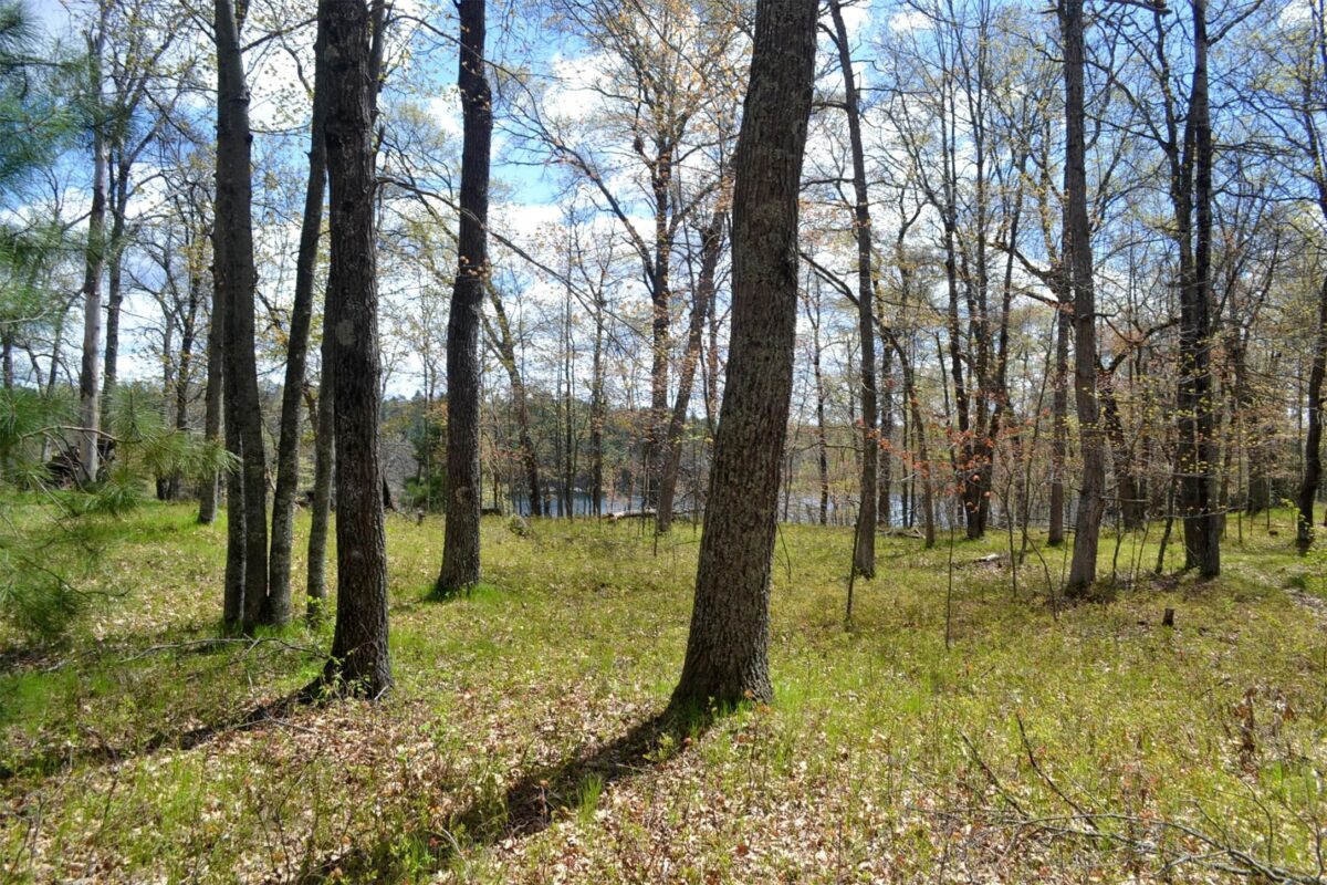 1391 Dock Lake Road, Spooner WI 54801 - Land house for sale - MLS #1601069 - image3