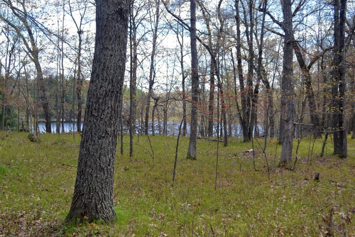 1391 Dock Lake Road, Spooner WI 54801 - Land house for sale - MLS #1601069 - image21