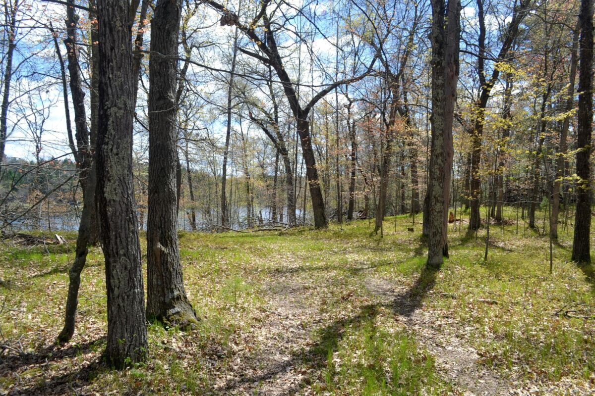 1391 Dock Lake Road, Spooner WI 54801 - Land house for sale - MLS #1601069 - image4