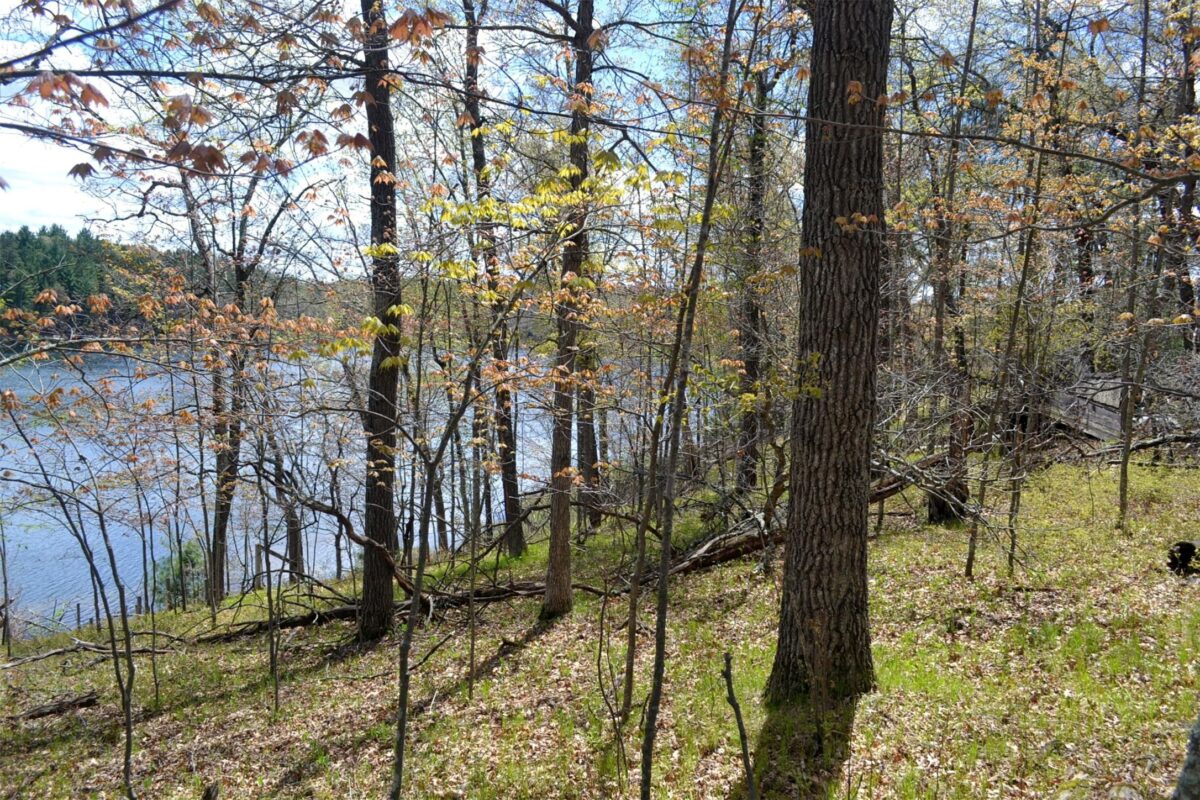 1391 Dock Lake Road, Spooner WI 54801 - Land house for sale - MLS #1601069 - image6