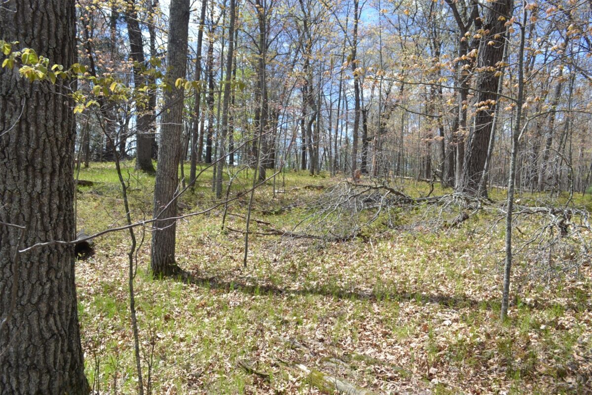 1391 Dock Lake Road, Spooner WI 54801 - Land house for sale - MLS #1601069 - image7