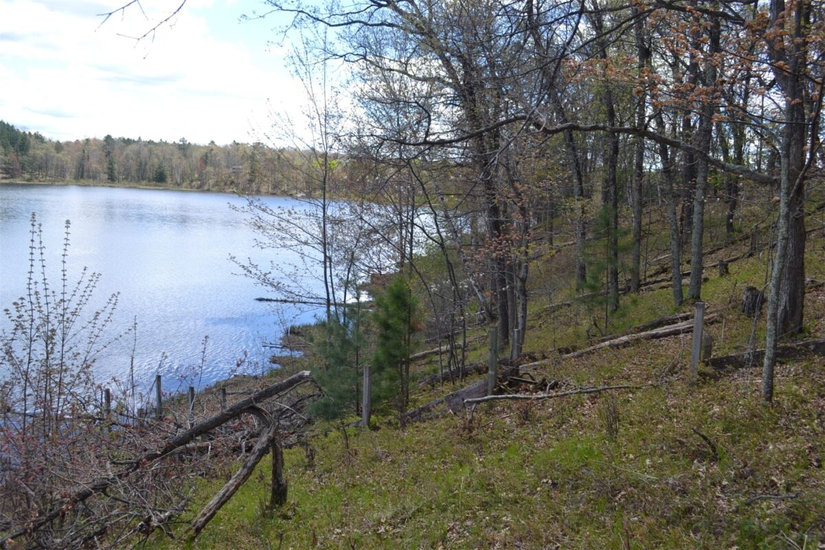 1391 Dock Lake Road, Spooner WI 54801 - Land house for sale - MLS #1601069 - image8