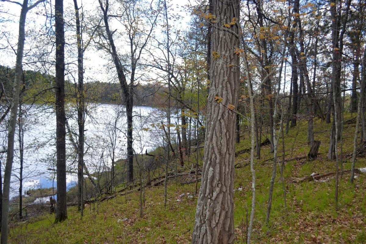 1391 Dock Lake Road, Spooner WI 54801 - Land house for sale - MLS #1601069 - image9